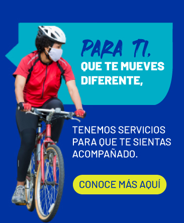 Seguro de bicicletas