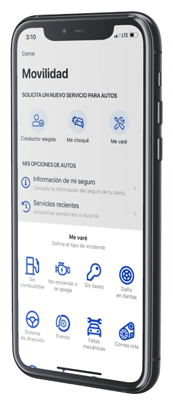 Te varaste y requieres asistencia