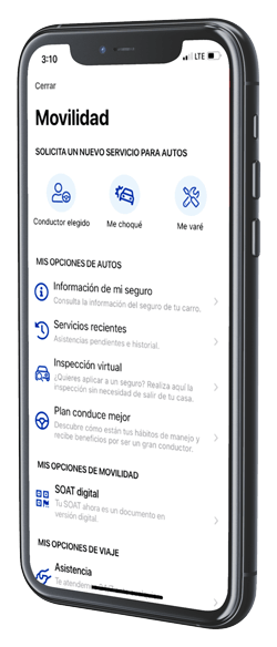 Consulta servicios resientes